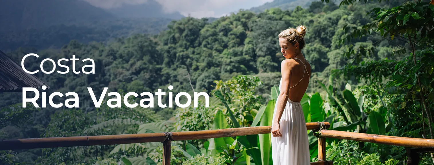 vaction banner